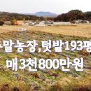 강원도 횡성군 주말농장용텃밭193평 매:3,800만원 이미지