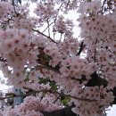 부산여성트레킹