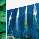 청출어람 이미지