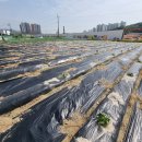 이천시청 4층 이미지