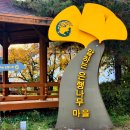 말하는은행나무 이미지