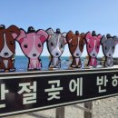 헤이메르 이미지