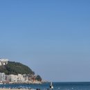 멍게 | 해운대 저녁 모임 크랩피크 멍게솥밥 혼밥 후기