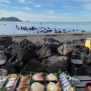 제주노을채 이미지