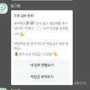 필리야 미안해, &#39;필그램&#39;을 써볼게! (내돈내산 후기) 필리, 필그램 비교