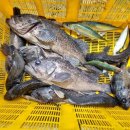 와따좌대낚시터 이미지