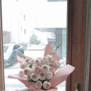 블랑-메이 이미지