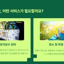 위즈시스