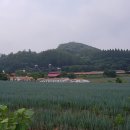 신정목장 네이버블로그