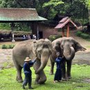 인카(incar) 이미지