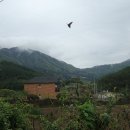 외방1리 이미지