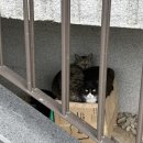 정훈이불 | 5월 13- 17일