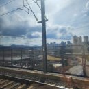 건영 성원아파트  버스승강장 | 2025 데이식스 포에버영 FOREVER YOUNG 대구 막콘 후기