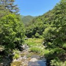 아라독채펜션 이미지