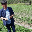 김주연농장 이미지