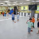 용인대 미르 태권도 네이버블로그