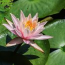 봉담호수공원 이미지