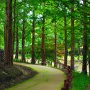 詩가 된 풍경 이미지