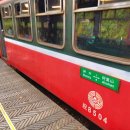 아리산 | 대만 가볼만한 곳 아리산 트래킹 펀치후 라오제 용은사 후기