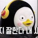 기장체육관 이미지