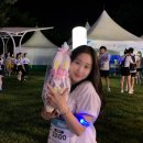 문구라이프월드유통 | 2026 한강 나이트워크 예매 코스 후기 취소 작년후기 총정리