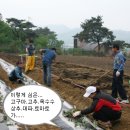 문환농장 Daum카페