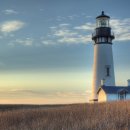 참좋은세상 이미지