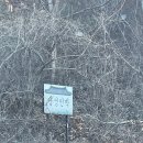 대청민박 이미지