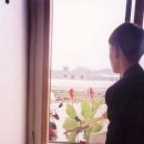 성상2리 이미지