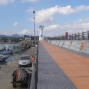 체육관 삼거리 이미지