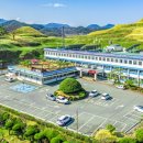 아라길(가야시장) 이미지