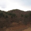 궁촌리_강릉