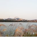 세빛섬· 반포대교 달빛무지개분수 이미지