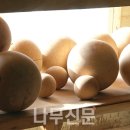한옥재