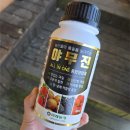 야무진 사람들 | 집에서 가지 파프리카 호박 키우기! '야무진' 종합 영양제 비료 하나로 끝낸 후기
