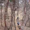 2026.3/7(토)청양 칠갑산(시산제) 이미지