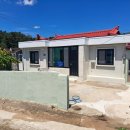 포도나무 민박 이미지