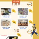 경춘로16번길3 네이버블로그