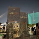 똥구수산 | 2025 반얀트리 풀파티 라인업 & 게스트 후기 & 꿀팁
