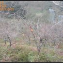 황죽펜션 이미지