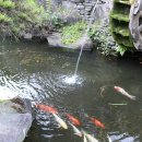 화현관광농원 이미지