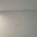 대우마리나아파트 이미지