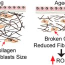 동산약국 이미지