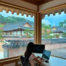 영천한의마을 기념품 | [경북 워케이션 추천] 영천 런케이션 승마체험, 와인터널, 영천한의마을 후기