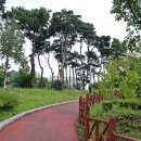 동백호수공원 삼거리 이미지