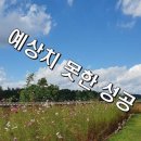 최화 이미지