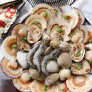 대게나라 조개마을 이미지