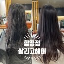 대양클리닉 | 합정미용실 &#34;살리고헤어&#34; 아베다 보태니컬 클리닉후기, 레이어드컷 잘하는 합정헤어샵