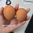 시흥대로52길 | 4. 스위치온 다이어트 4주차 후기 (-1.4kg / 총 -6.8kg)