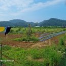 학군농장 이미지